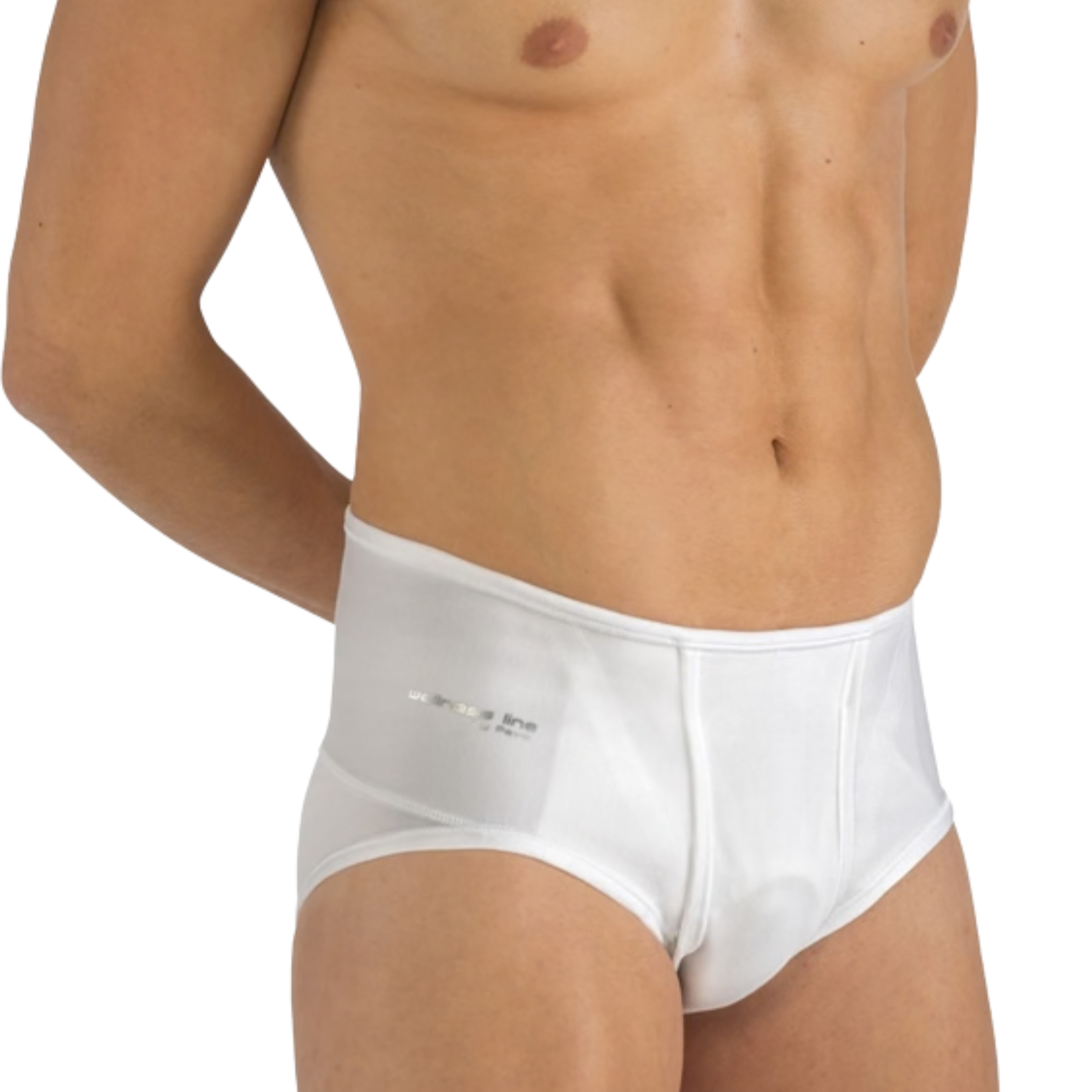 Pavis 651
